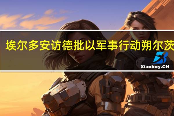 埃尔多安访德批以军事行动 朔尔茨反驳