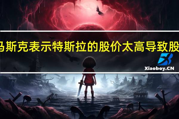 埃隆马斯克表示特斯拉的股价太高导致股价下跌13%