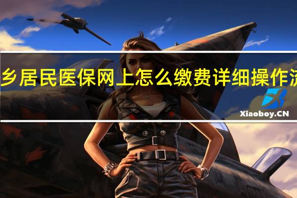 城乡居民医保网上怎么缴费 详细操作流程在这