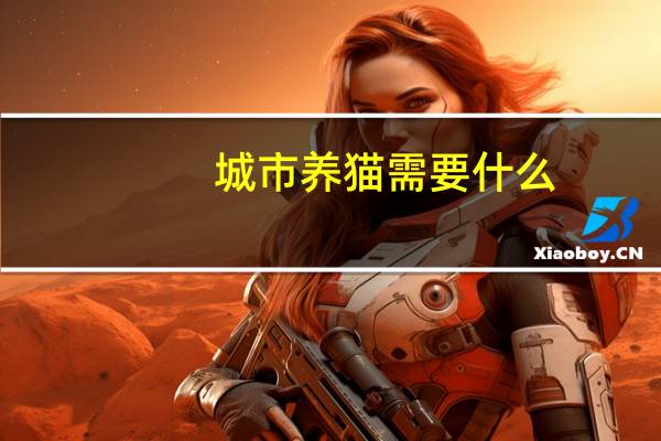 城市养猫需要什么