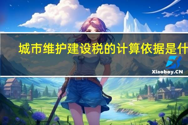 城市维护建设税的计算依据是什么（城市维护建设税的计税依据）