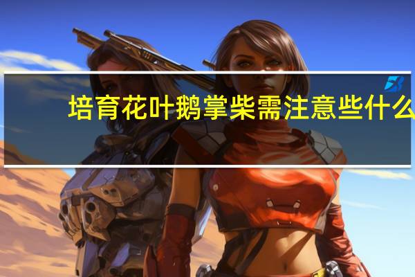 培育花叶鹅掌柴需注意些什么