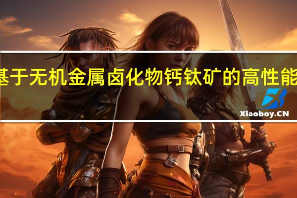 基于无机金属卤化物钙钛矿的高性能晶体管