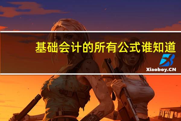基础会计的所有公式 谁知道