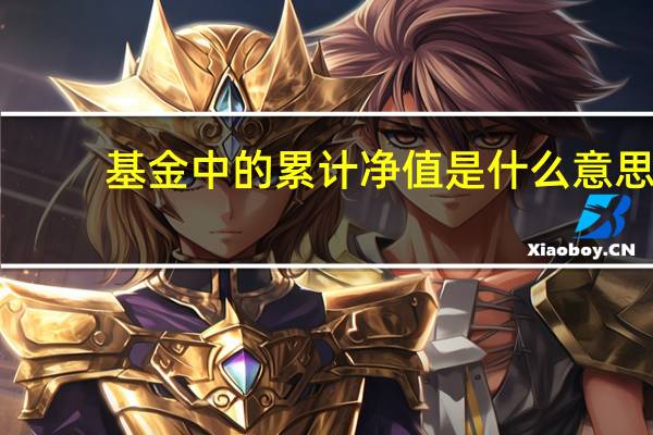 基金中的累计净值是什么意思（基金中的累计净值是什么意思）