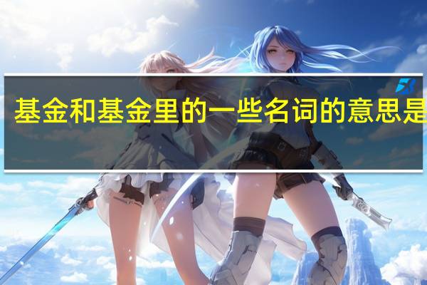 基金和基金里的一些名词的意思是什么