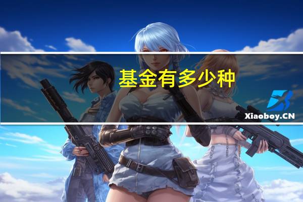 基金有多少种?