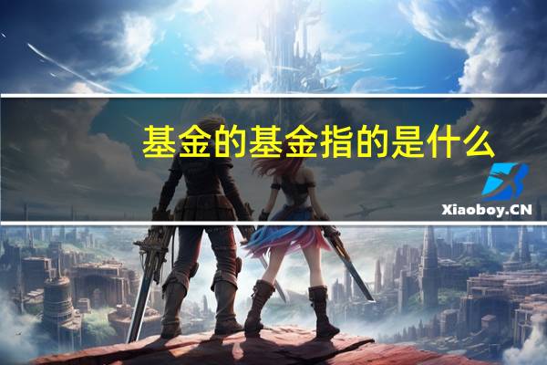 基金的基金指的是什么（基金是什么概念）