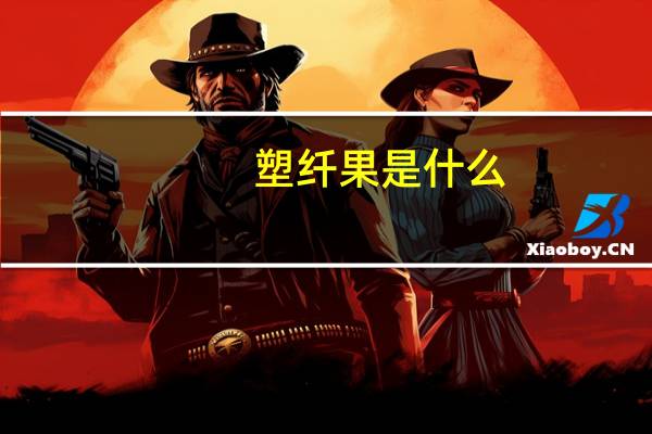 塑纤果是什么（塑纤果）