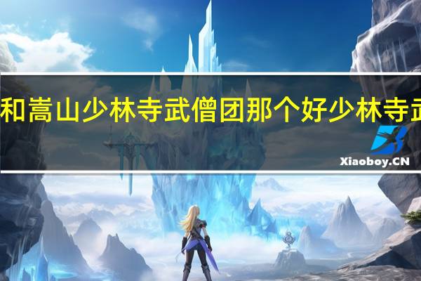 塔沟武校和嵩山少林寺武僧团那个好 少林寺武僧团培训基地