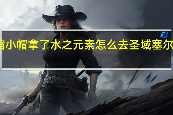 塞尔达传说缩小帽拿了水之元素怎么去圣域 塞尔达传说缩小帽攻略