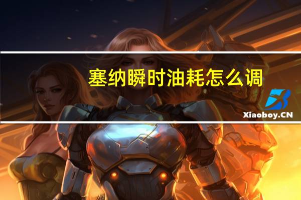 塞纳瞬时油耗怎么调