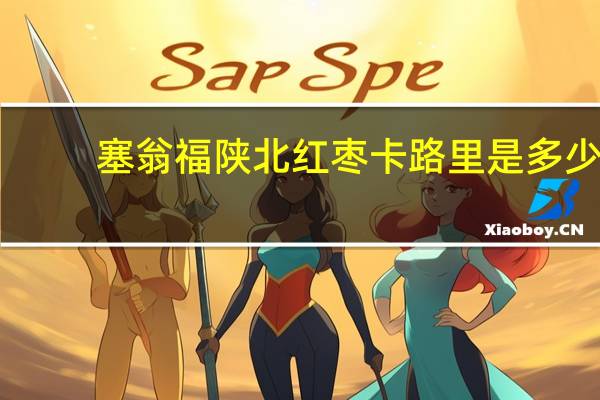 塞翁福陕北红枣卡路里是多少