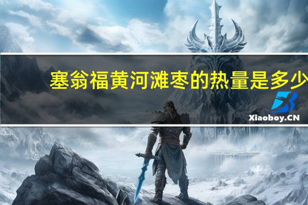 塞翁福 黄河滩枣的热量是多少