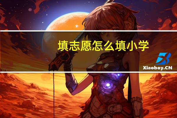 填志愿怎么填小学（填志愿怎么填）