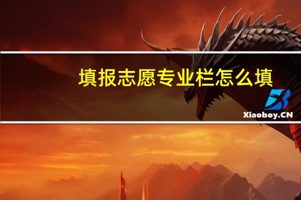 填报志愿专业栏怎么填