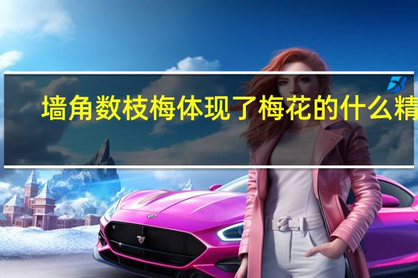 墙角数枝梅体现了梅花的什么精神