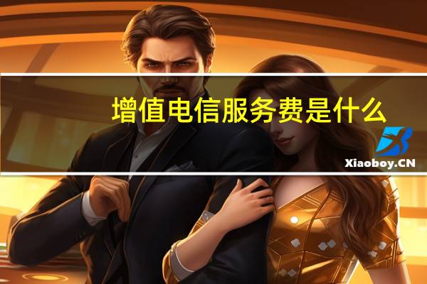 增值电信服务费是什么（增值电信服务）