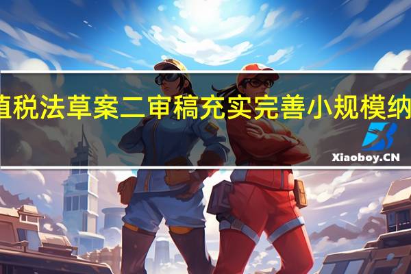 增值税法草案二审稿充实完善小规模纳税人制度
