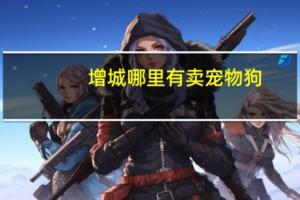 增城哪里有卖宠物狗