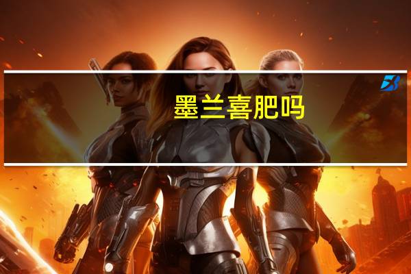 墨兰喜肥吗