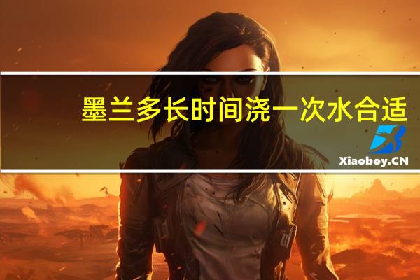 墨兰多长时间浇一次水合适