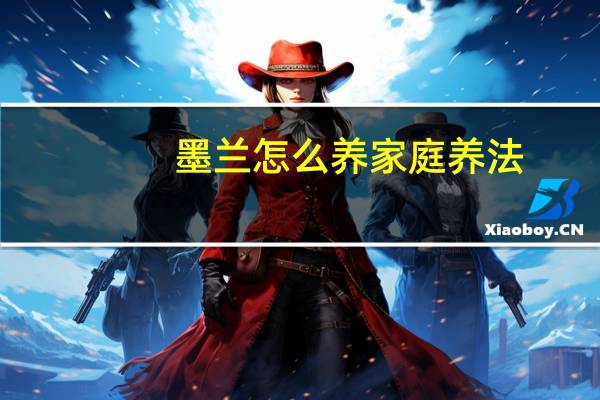 墨兰怎么养家庭养法