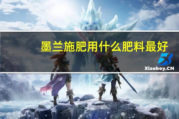 墨兰施肥用什么肥料最好