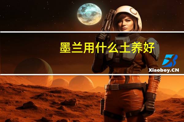 墨兰用什么土养好