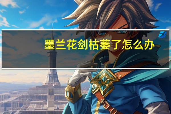 墨兰花剑枯萎了怎么办