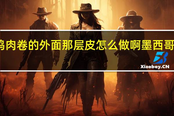 墨西哥鸡肉卷的外面那层皮怎么做啊 墨西哥鸡肉卷多少钱