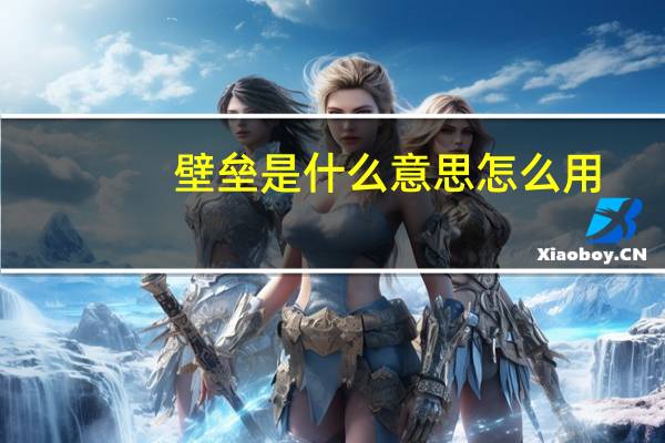 壁垒是什么意思怎么用（壁垒是什么意思）