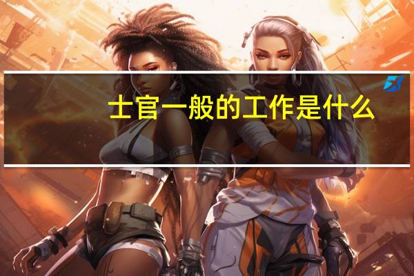 士官一般的工作是什么