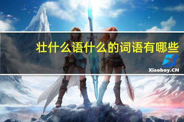 壮什么语什么的词语有哪些?
