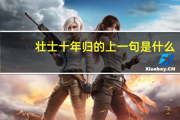 壮士十年归的上一句是什么