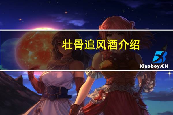 壮骨追风酒介绍