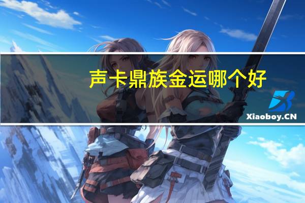 声卡鼎族金运哪个好
