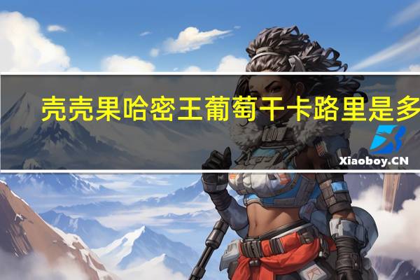 壳壳果 哈密王葡萄干卡路里是多少