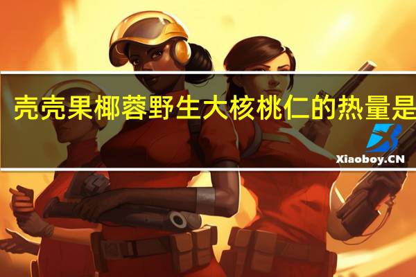 壳壳果 椰蓉野生大核桃仁的热量是多少