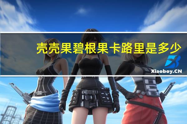 壳壳果 碧根果卡路里是多少