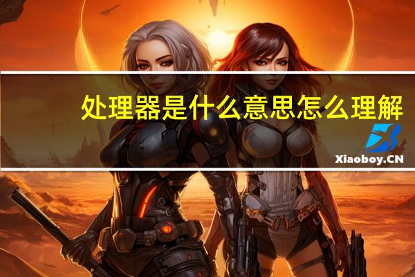 处理器是什么意思怎么理解（处理器是什么）