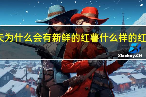 夏天为什么会有新鲜的红薯 什么样的红薯更新鲜