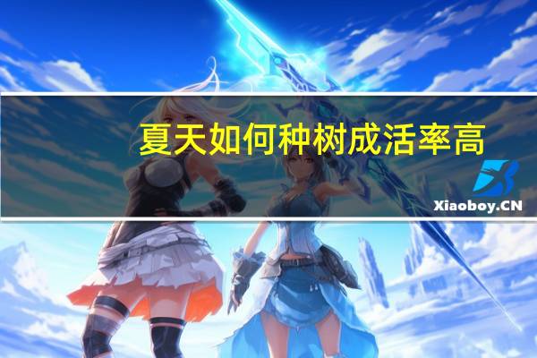 夏天如何种树成活率高