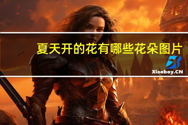 夏天开的花有哪些花朵图片（夏天开的花有哪些）