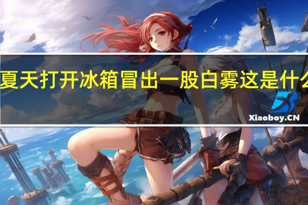 夏天打开冰箱冒出一股白雾这是什么现象（夏天打开冰箱为什么会看到一股白雾）