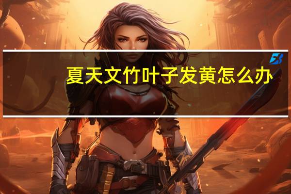 夏天文竹叶子发黄怎么办