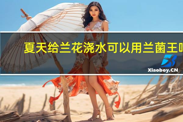 夏天给兰花浇水可以用兰菌王吗