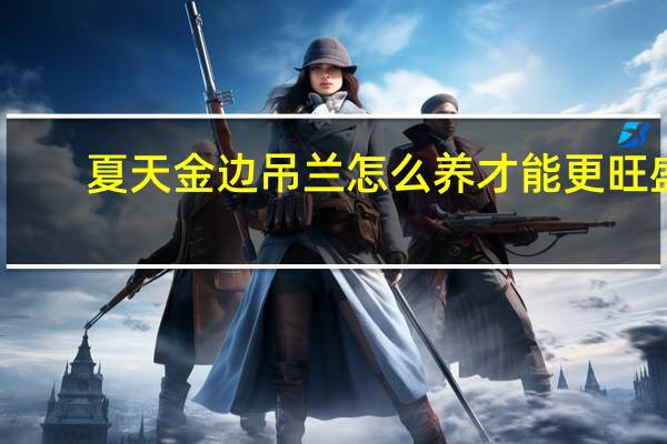 夏天金边吊兰怎么养才能更旺盛