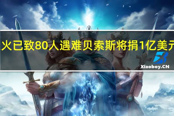 夏威夷大火已致80人遇难贝索斯将捐1亿美元帮助灾后重建