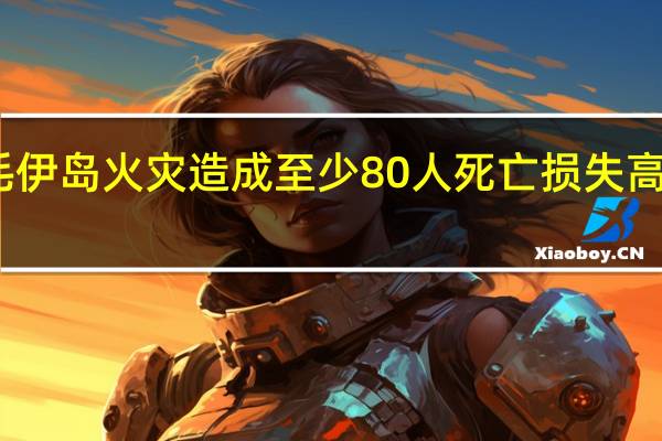 夏威夷毛伊岛火灾造成至少80人死亡损失高达数十亿美元